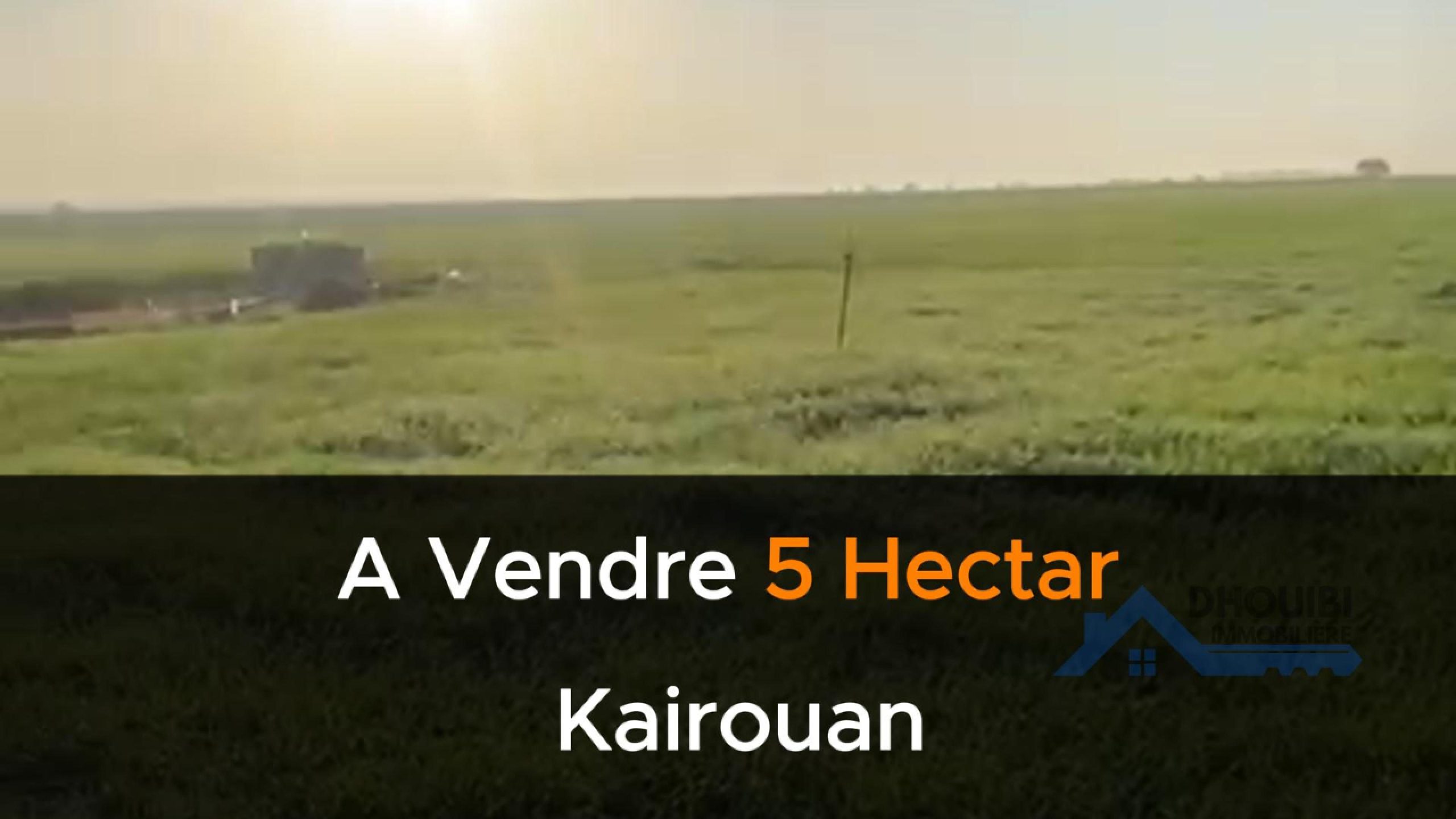 5 Hectar à vendre à Kairouan 5 هكتار للبيع بالقيروان